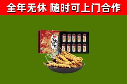 益阳烟酒回收冬虫夏草礼盒.jpg